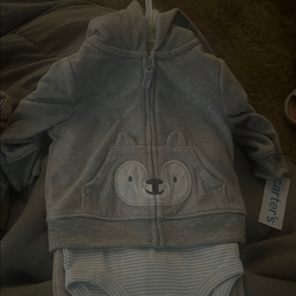 Gray Animal Hoodie and Striped Bodysuit Set